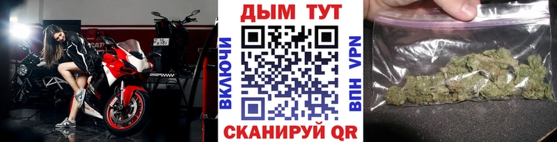 Шишки марихуана гибрид Шагонар